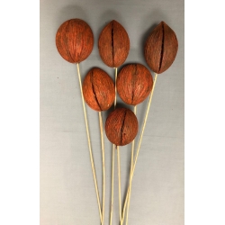 Mintola Balls Orange (6)